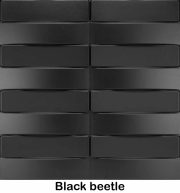 black beetle