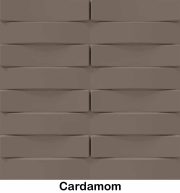 cardamom