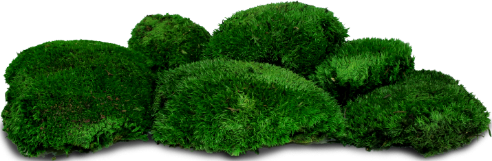 Декоративен топчест мъх за дома