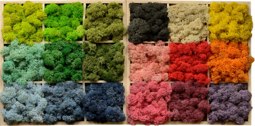 Декоративни пана от скандинавски мъх 