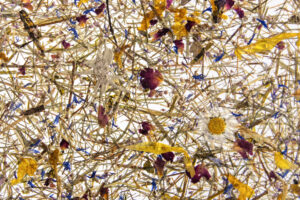 MOUNTAIN MEADOW medium