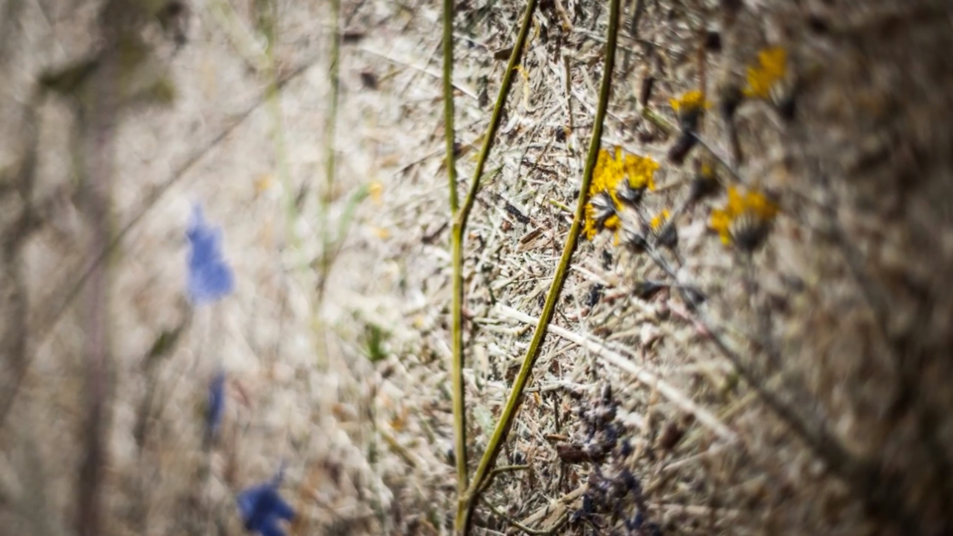 Интериорен дизайн от StyroDesign