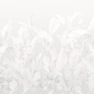 Z57773-Leaves