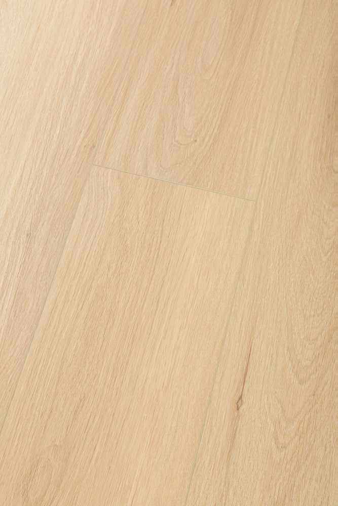 Mystic Oak - 99084 - Image 2