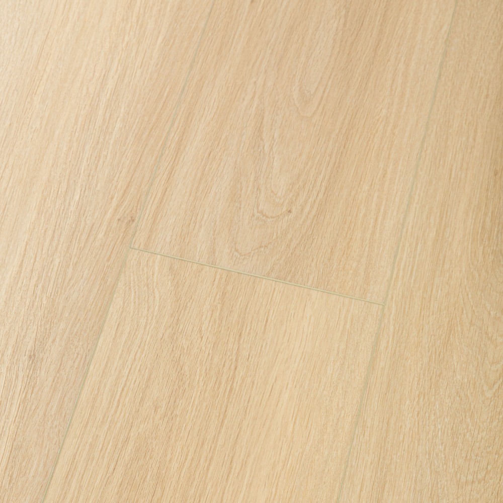 Mystic Oak - 99084