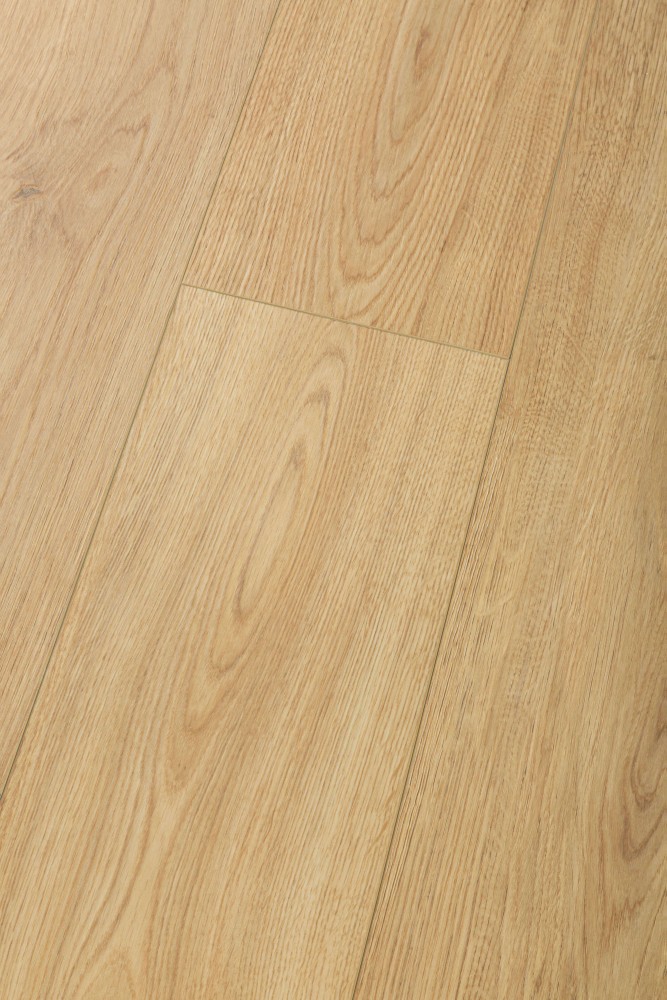 Universe Oak - 99135 - Image 2