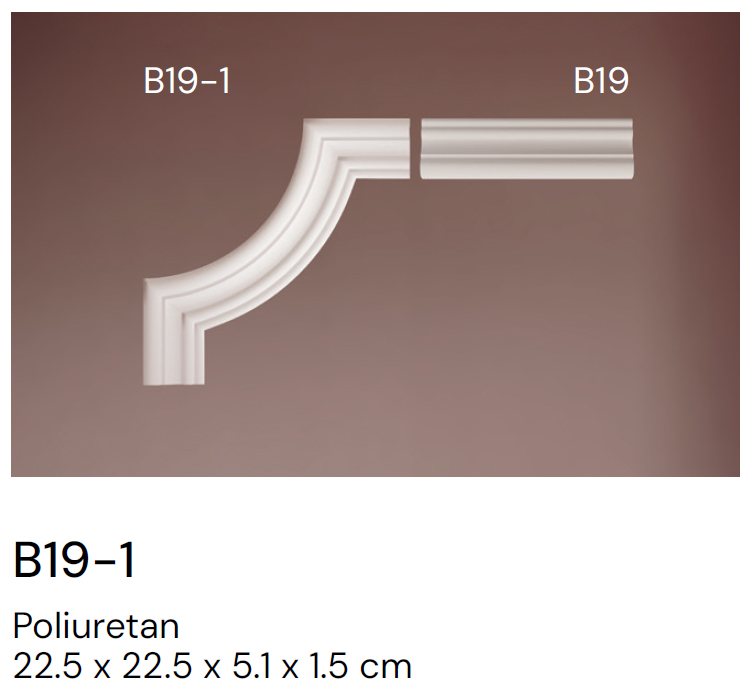 B19-1 - Image 5