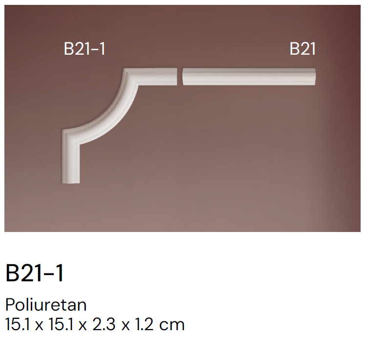 B21-1 - Image 4