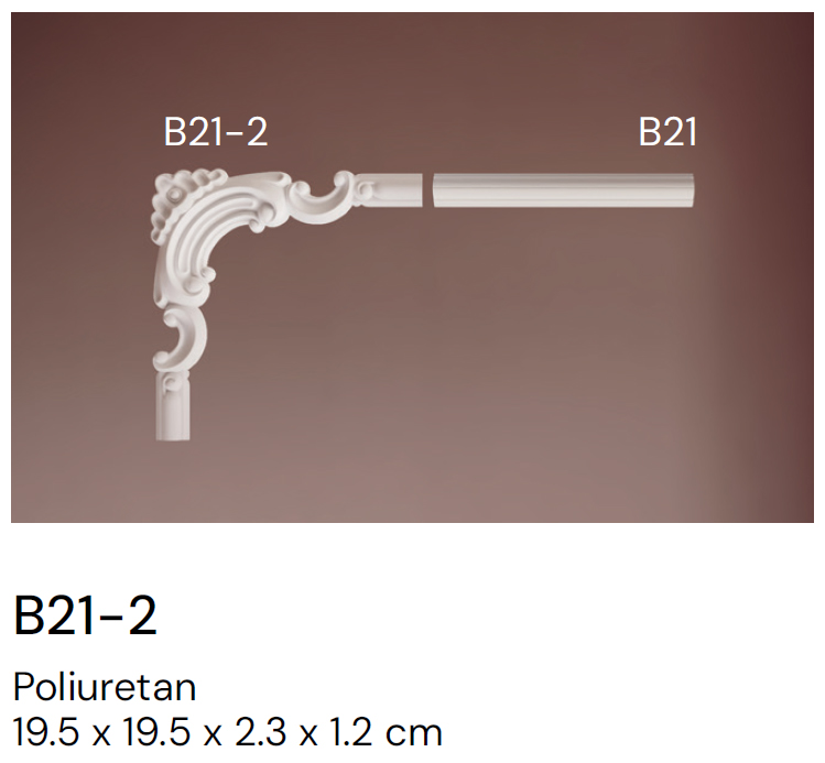 B21-2 - Image 4