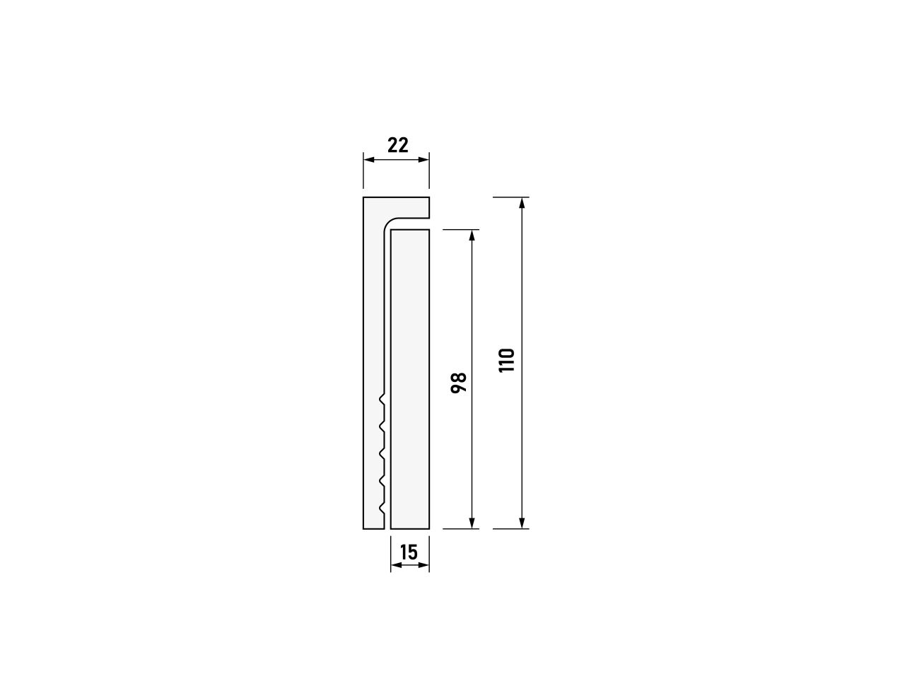 CF2S - Image 3