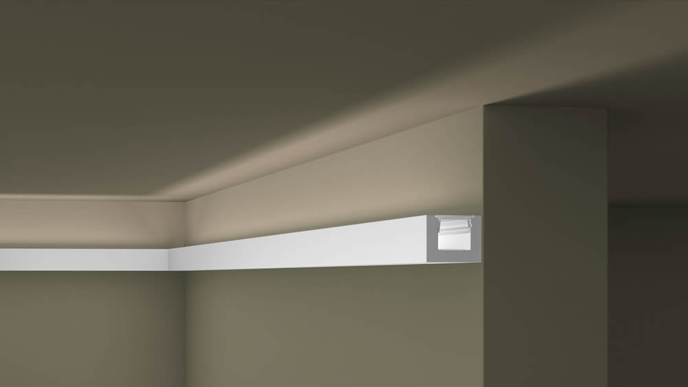 IL12 - Image 4