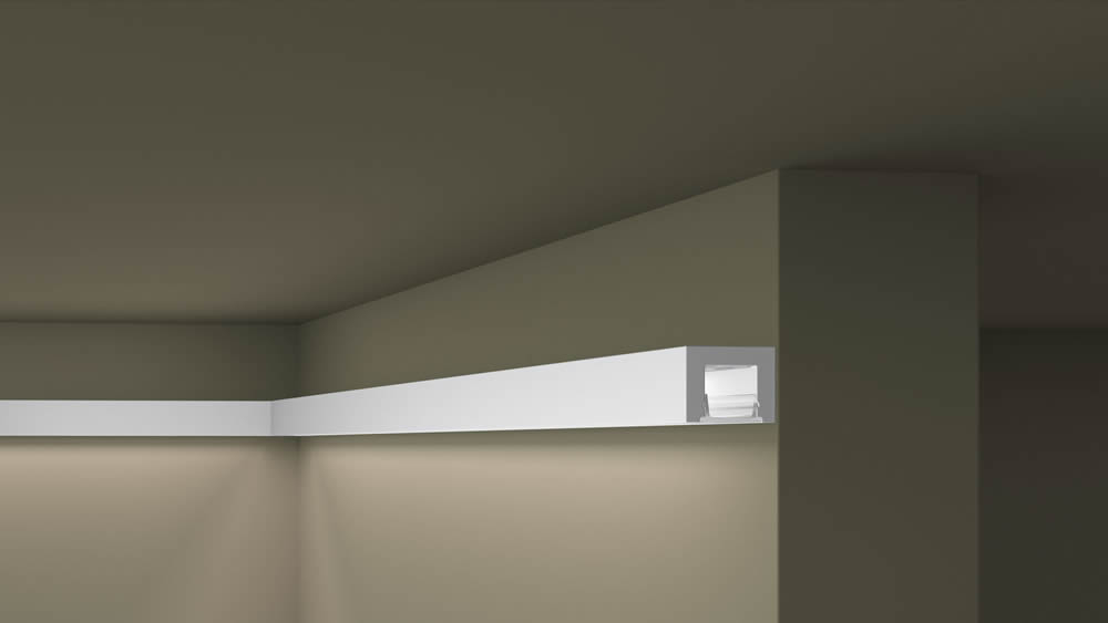 IL12 - Image 3