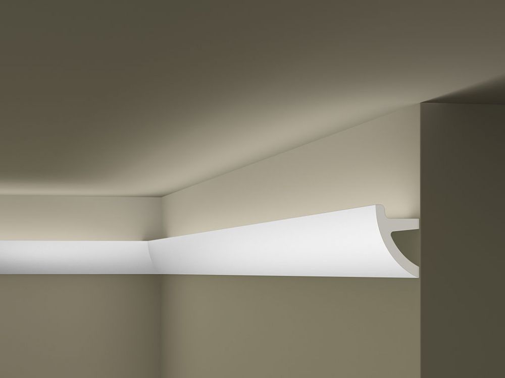 IL1 - Image 2