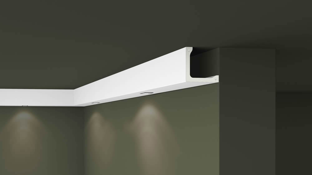 L4 - Image 2