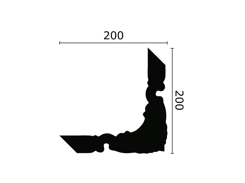 Z101 - Image 3