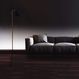 LED LEB